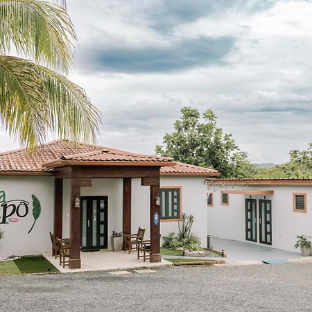 Casa Campo Bed & Breakfast San Sebastian Extérieur photo